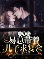 三年后携子归来