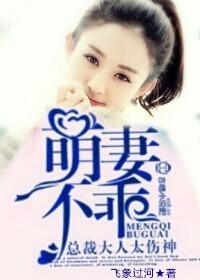 总裁大人宠不停