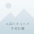 重生之锦绣民国