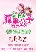 绝色风华腹黑召唤师