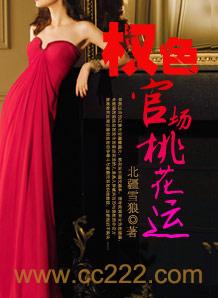 权色官场桃花运这本书写完