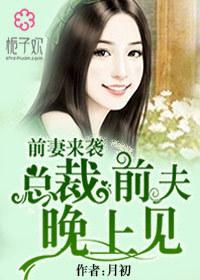 总裁前夫来撩我全文免费