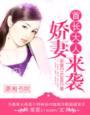 暖妻来袭总裁大人