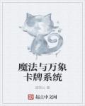 魔法与万象卡片系统