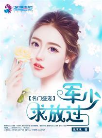 名门宠婚权爷盛宠妻潇湘书院