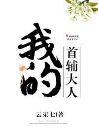 我的首辅大人 言讱