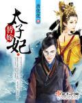 替嫁太子妃晋江